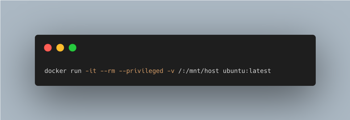 Docker run command with privileged mode and host filesystem mount for root access
