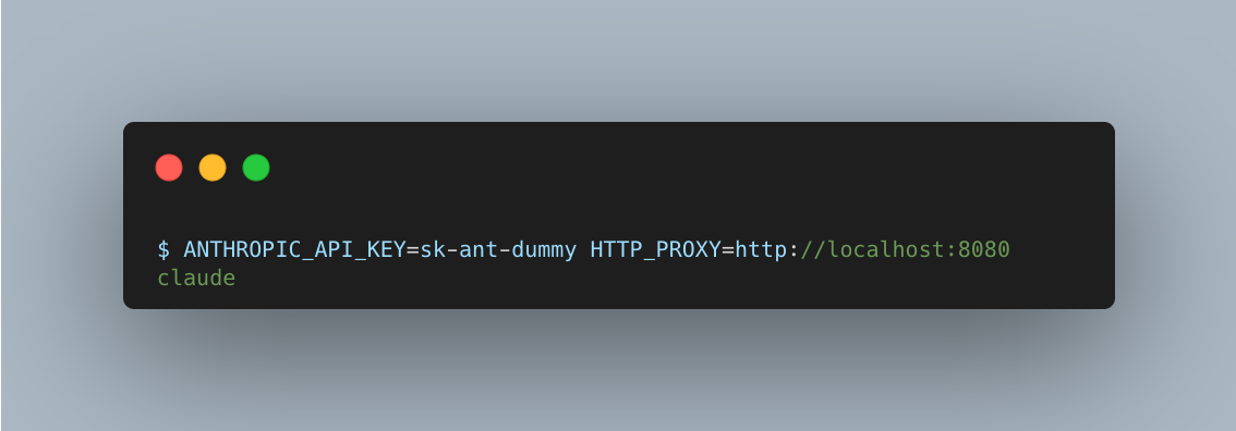 Running claude with dummy API key